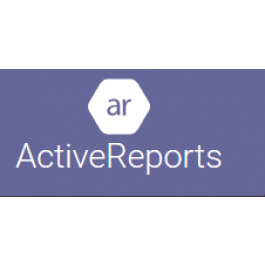 Malaysia Price .NET Reporting | Design Custom .NET Reports in Code ...