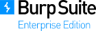 Burp Suite Enterprise Accelerate