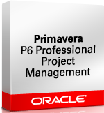 Primavera P6 Professional Project Portfolio Management