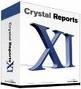 Crystal Reports XI Developer