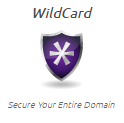 DigiCert Wildcard 