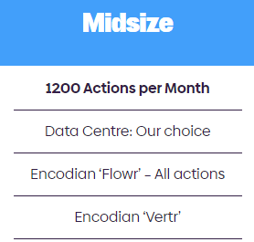 Encodian Flowr, Midsize
