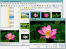 FastStone Image Viewer