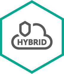 Kaspersky Hybrid Cloud Security Server Base