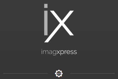 ImagXpress v13.1 .NET Professional Malaysia Reseller