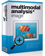 Multimodal Analysis Image