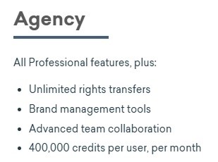 Vyond Agency