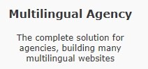 WPML Multilingual Agency