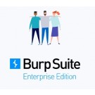 Burp Suite Enterprise Accelerate