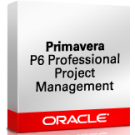 Primavera P6 Professional Project Portfolio Management