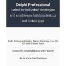 Delphi  Professional Malaysia Reseller