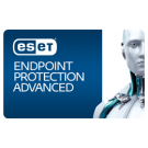ESET Endpoint Protection Advanced Malaysia Reseller