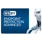 ESET Endpoint Protection Advanced Malaysia Reseller