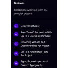 FlutterFlow business