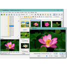 FastStone Image Viewer