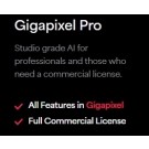 Gigapixel Pro