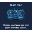 Laracasts Team Plan