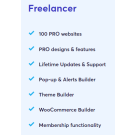 Brizy WordPress Freelancer
