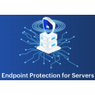 Endpoint Protection with Server Security | Malwarebytes