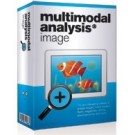 Multimodal Analysis Image