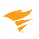 NetFlow Traffic Analyzer