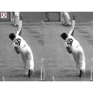 Quintic Sports