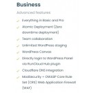 RunCloud Business