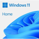 Microsoft Windows 11 Home OEM 