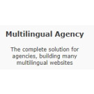 WPML Multilingual Agency