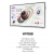 Samsung Flip Pro WMR Series 55"