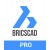 BricsCAD Professional 26 - Single Perpetual License, with 1-Year Maintenance