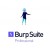 Burp Suite Professional - 1 User, 2 Years