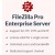 FileZilla Pro Enterprise Server for Windows - 1 year subscription