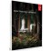 Adobe Lightroom 6