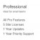 Advanced Custom Fields - Professional