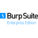 Burp Suite Enterprise - Starter