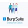 Burp Suite Enterprise Accelerate