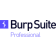 Burp Suite Professional