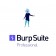 Burp Suite Professional