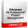 Primavera P6 Professional Project Portfolio Management