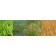 IGrass