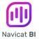 Navicat BI