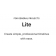 Office Timeline Add-in Lite