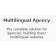 WPML Multilingual Agency