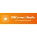DBConvert Studio, Business license