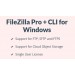 FileZilla Pro and FileZilla Pro CLI Single Device for Windows - 3 years subscription