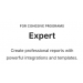 Office Timeline Add-in Expert - 1 Year subscription