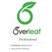 Overleaf Professional, 1 Year