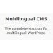 WPML Multilingual CMS, 1 Year Support & Updates