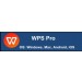 WPS Pro - Annual Subscription